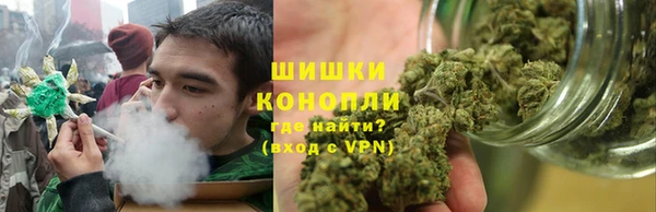 ПСИЛОЦИБИНОВЫЕ ГРИБЫ Арсеньев