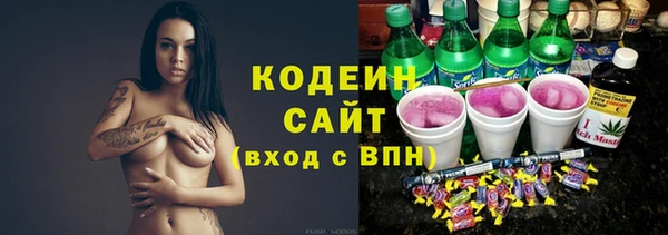 ПСИЛОЦИБИНОВЫЕ ГРИБЫ Арсеньев