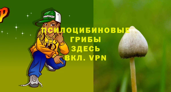 прущие крисы Армянск