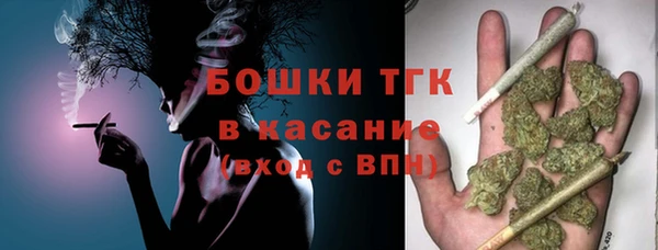 ПСИЛОЦИБИНОВЫЕ ГРИБЫ Арсеньев