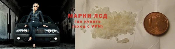 ПСИЛОЦИБИНОВЫЕ ГРИБЫ Арсеньев