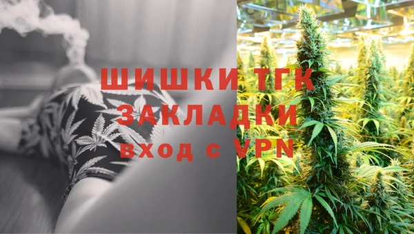 ПСИЛОЦИБИНОВЫЕ ГРИБЫ Арсеньев
